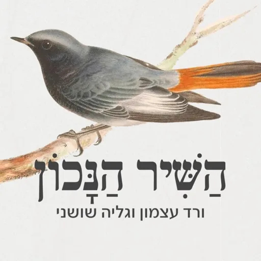 השיר הנכון