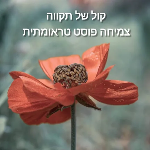 קול של תקווה