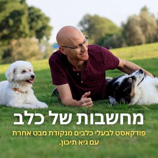 מחשבות של כלב | פודקאסט על כלבים, בעיות התנהגות, וטרינריה, תזונה ועוד