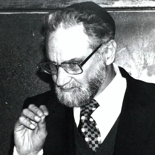 מניטו - שיעורים בעברית - manitou