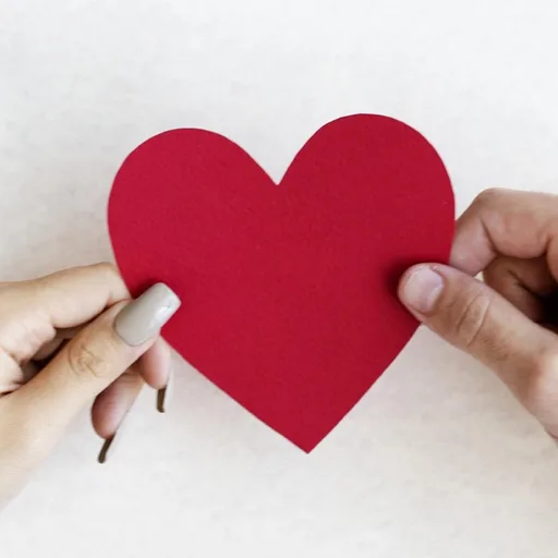 מתחברים - הפודקאסט של שחר בן-פורת