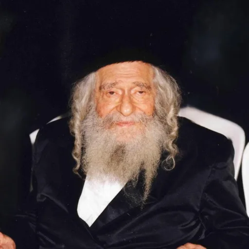 Rabbeinu the Pnei Menachem of Gur zy”a