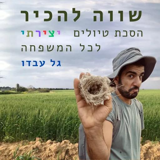 שווה להכיר