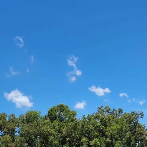 סיפורי התקרבות – שובו בנים