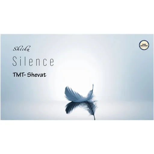 TMT, Silence
