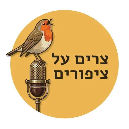 צרים על ציפורים